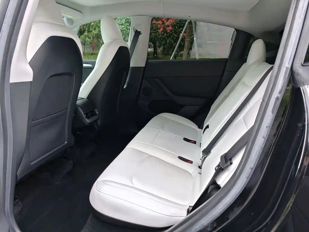 Tesla Model Y — миниатюра 11