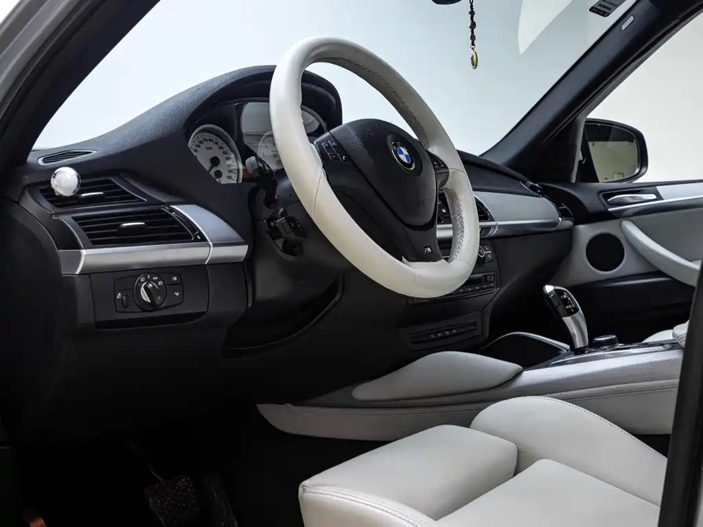 BMW X5 M 2010 X5 M