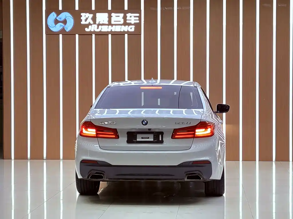 BMW 5 Series — миниатюра 21