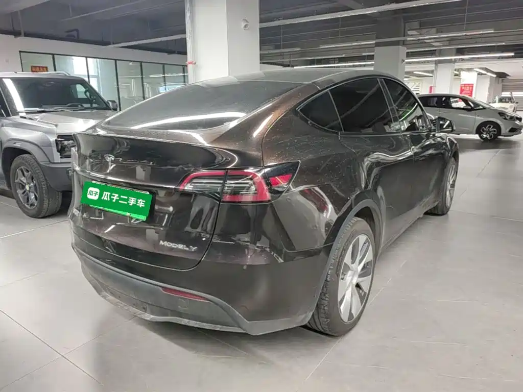 Tesla Model Y — миниатюра 7