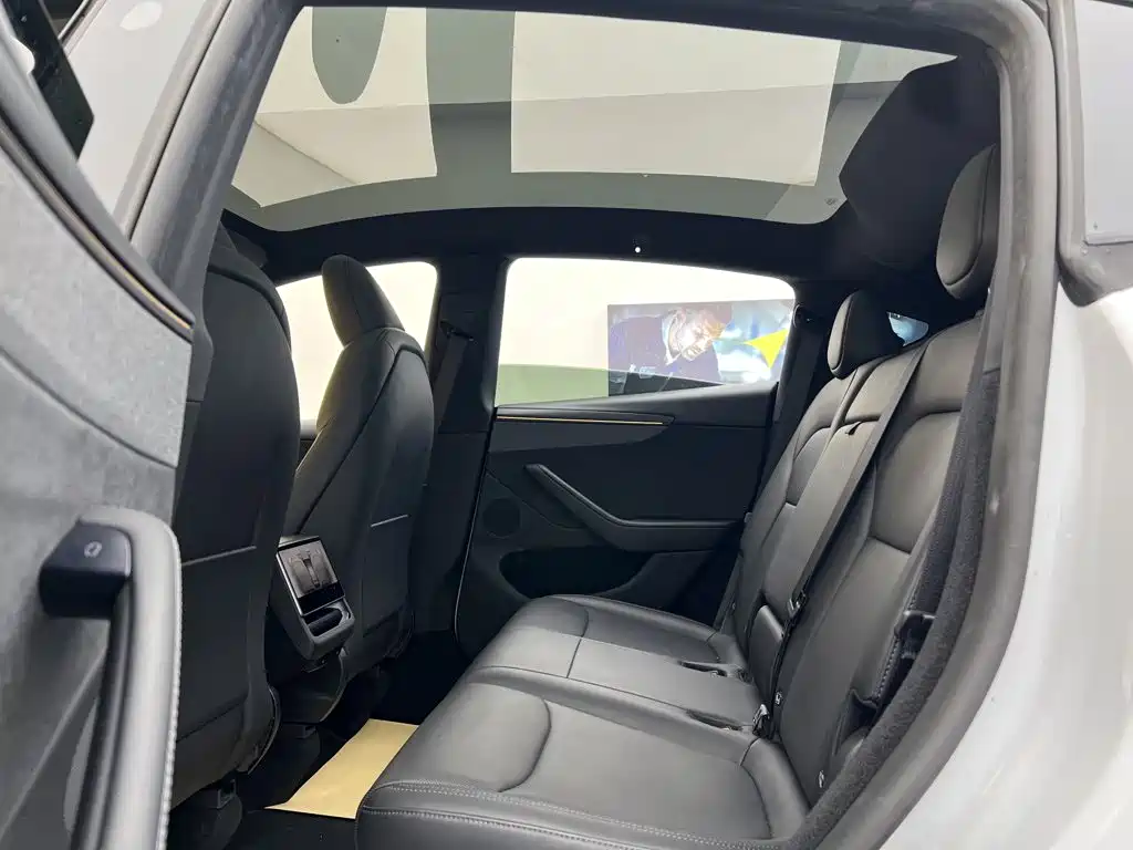 Tesla Model Y — миниатюра 21