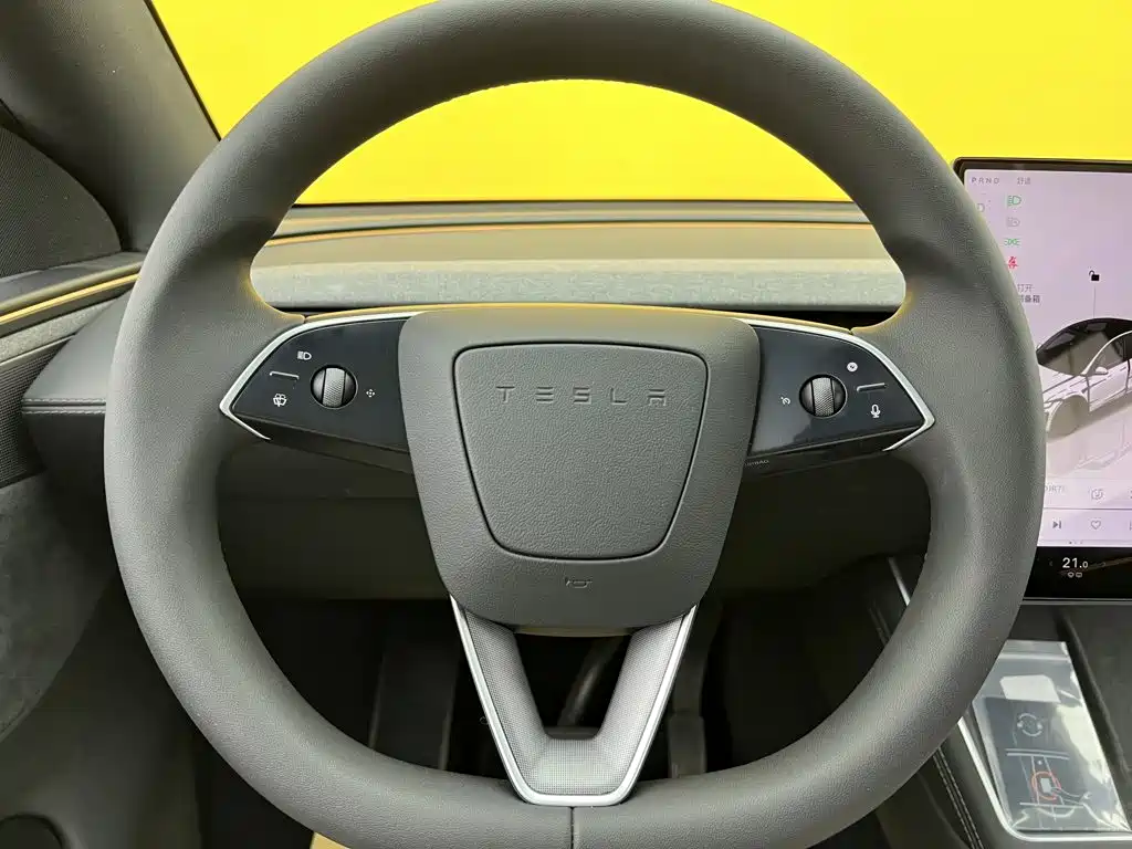 Tesla Model Y — миниатюра 16