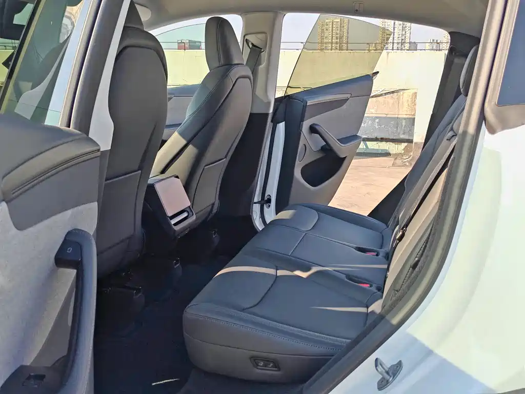 Tesla Model Y — миниатюра 9