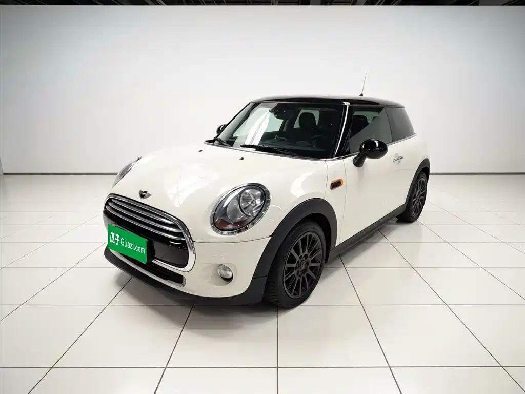 Mini Mini 2017
