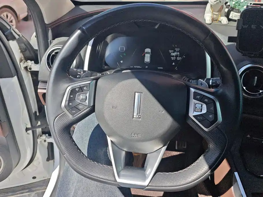 Wey Wey VV5 — миниатюра 15