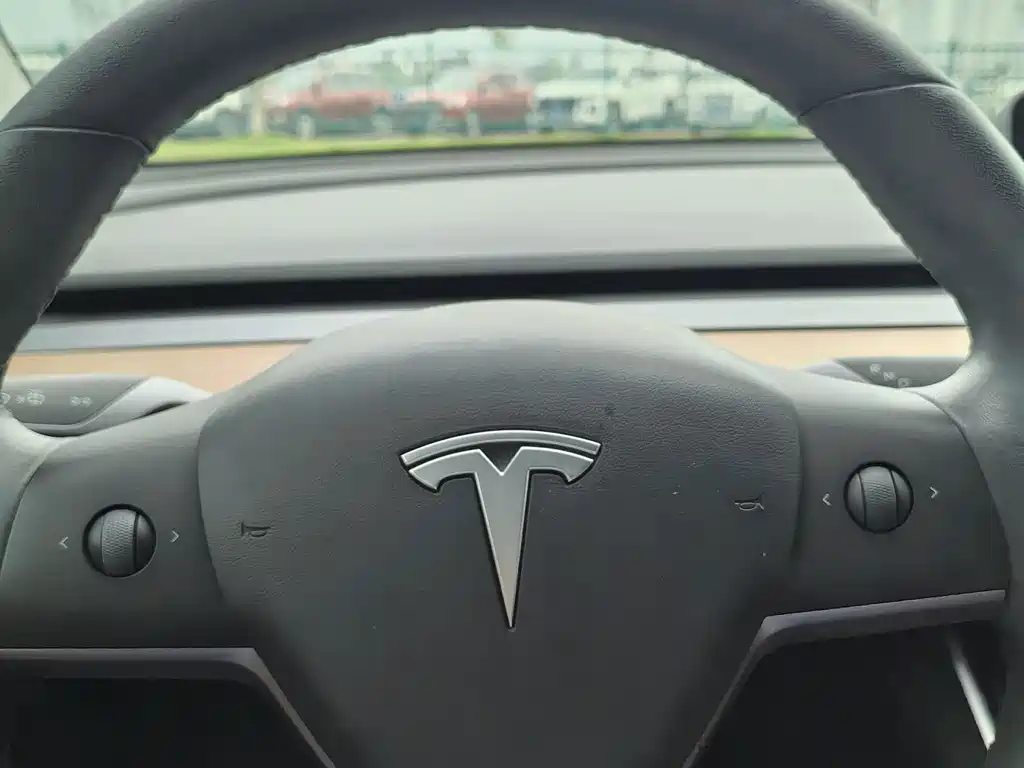 Tesla Model 3 — миниатюра 15