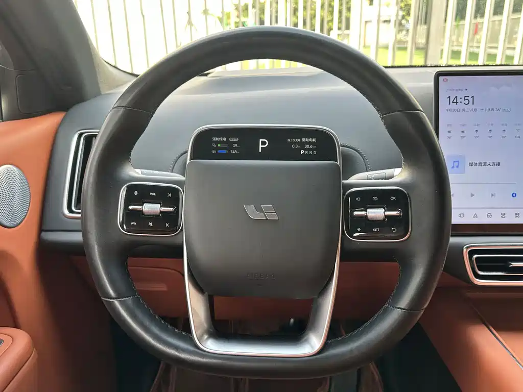 Li Auto Li L9 — миниатюра 4