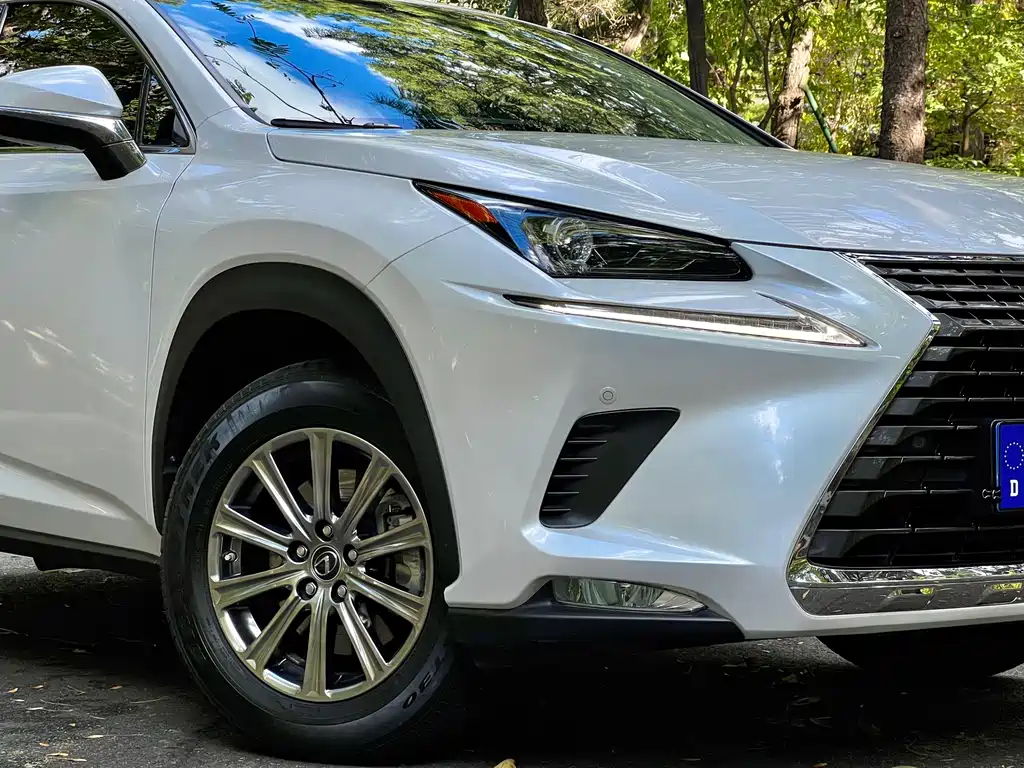 Lexus NX — миниатюра 7