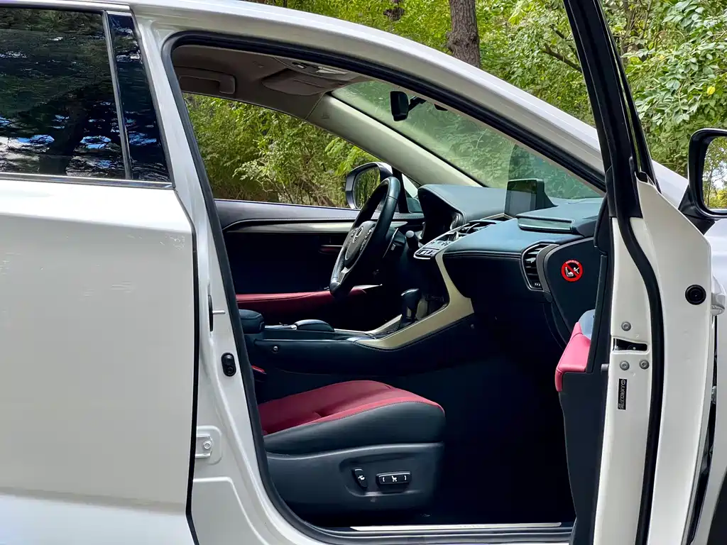 Lexus NX — миниатюра 30
