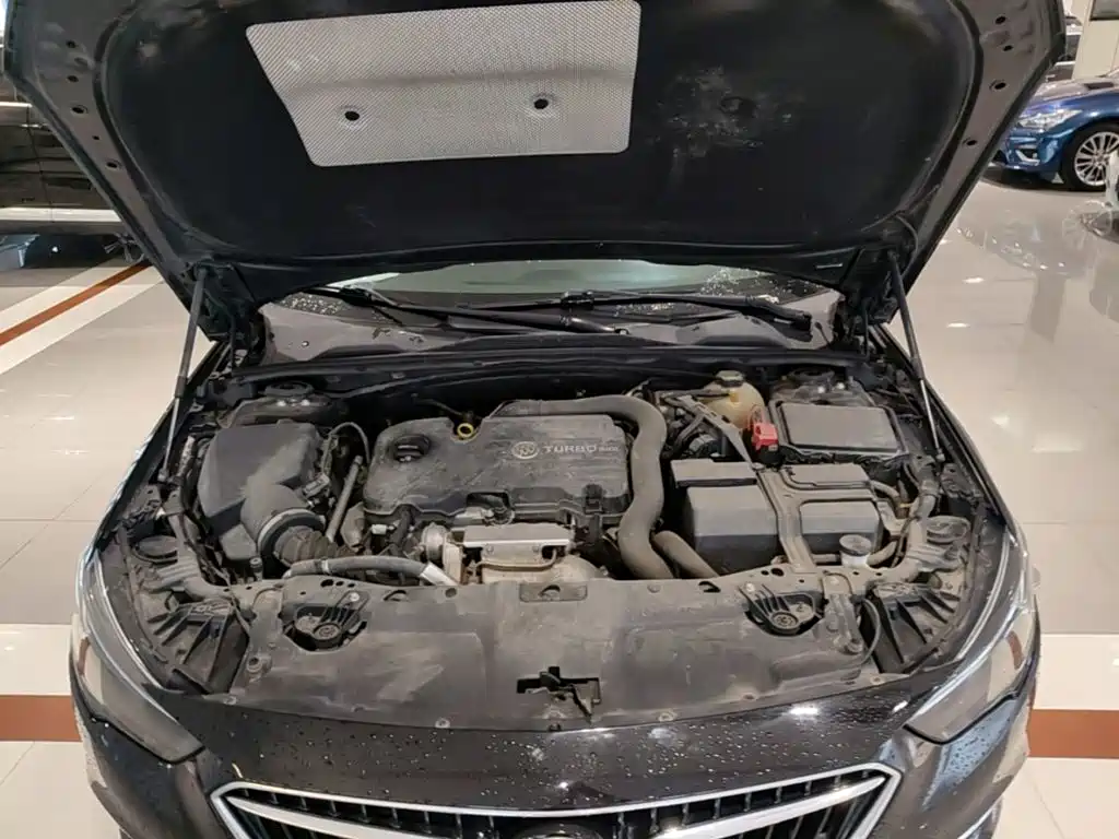 Buick Regal — миниатюра 20