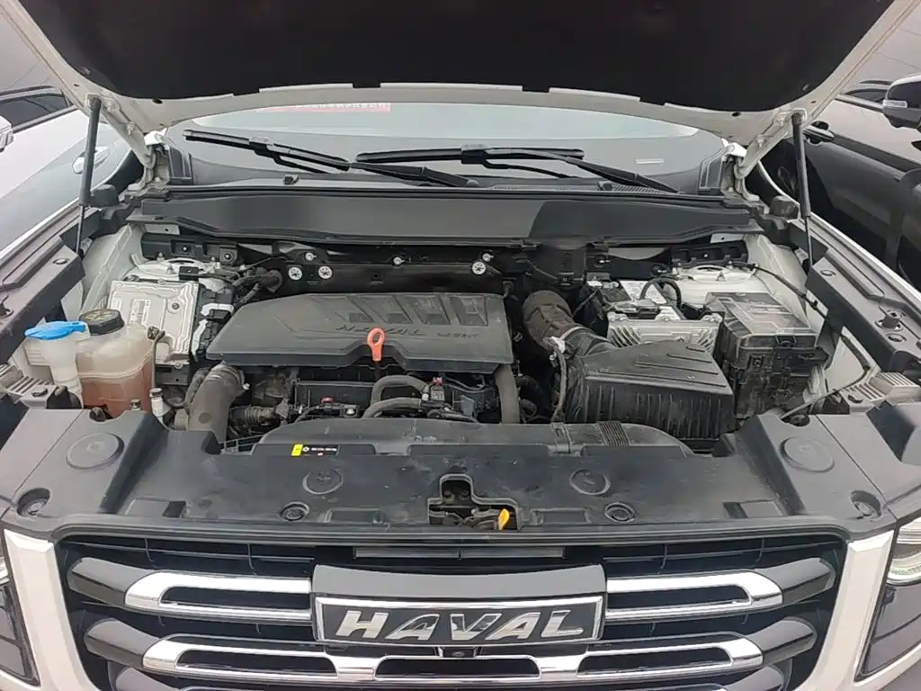 Haval 长城大狗 — миниатюра 20