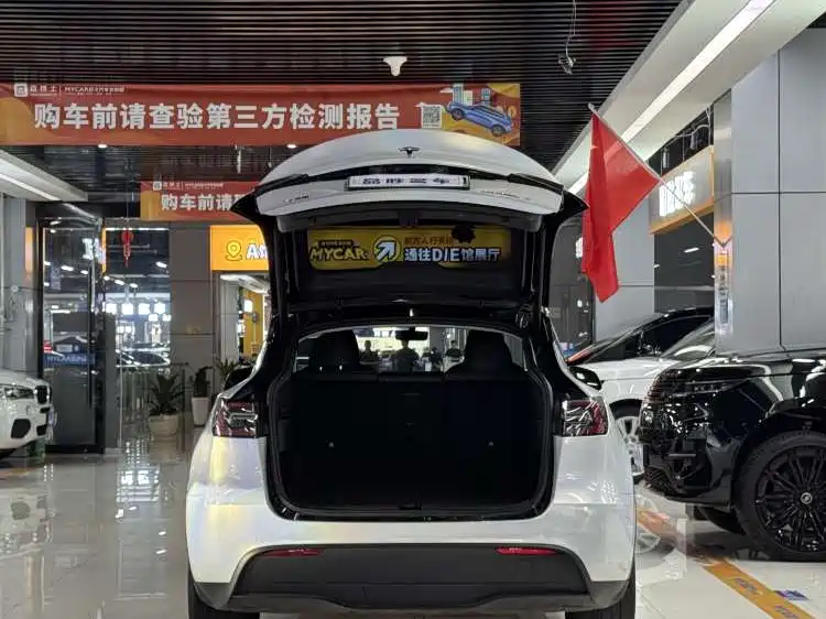 Tesla Model Y — миниатюра 6