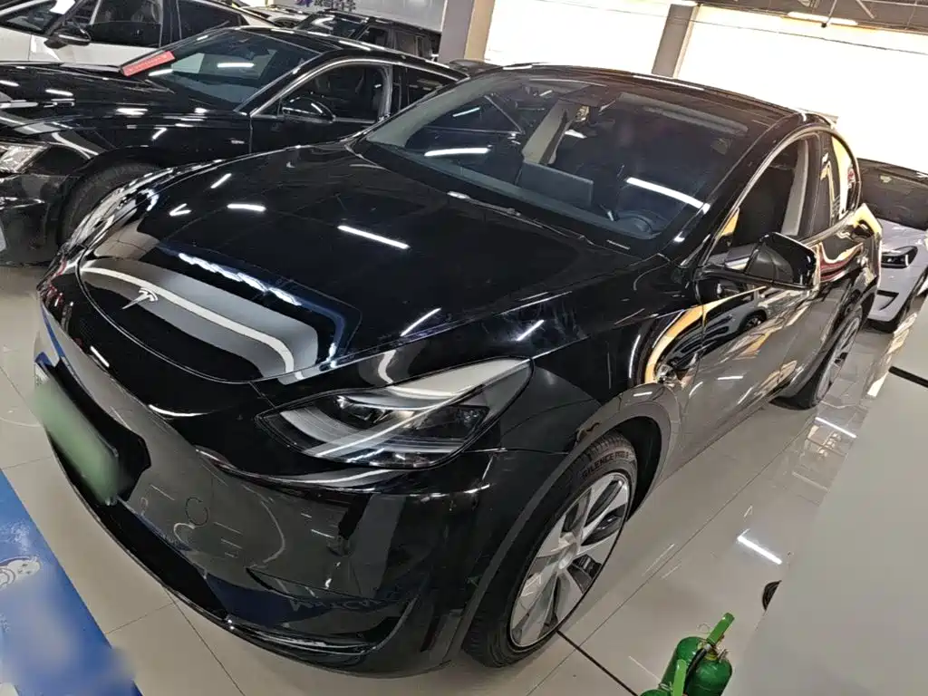 Tesla Model Y — миниатюра 2