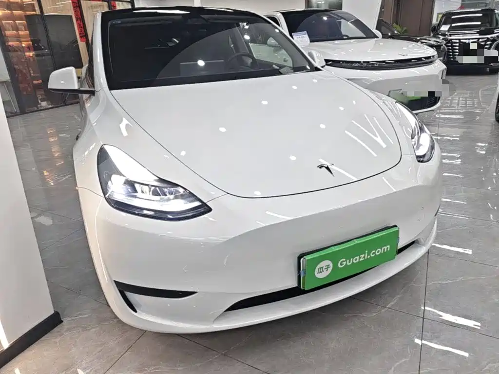 Tesla Model Y — миниатюра 4
