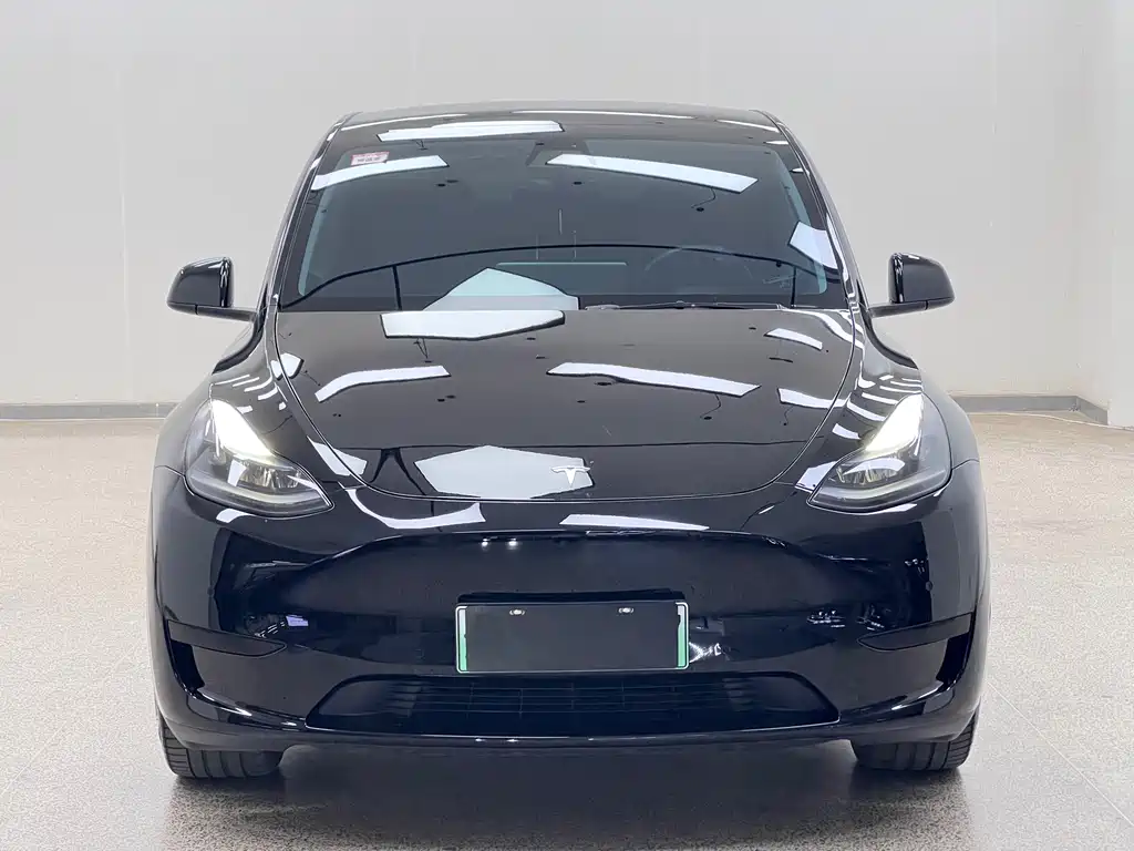Tesla Model Y — миниатюра 2