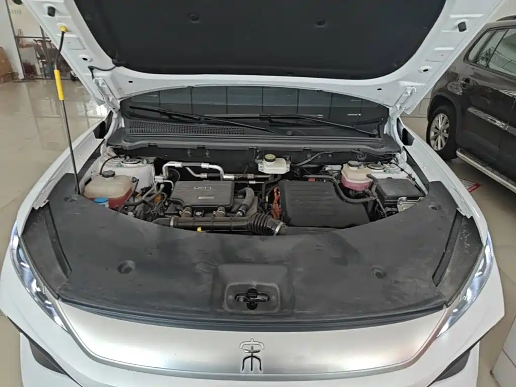 BYD Pro New Energy — миниатюра 20