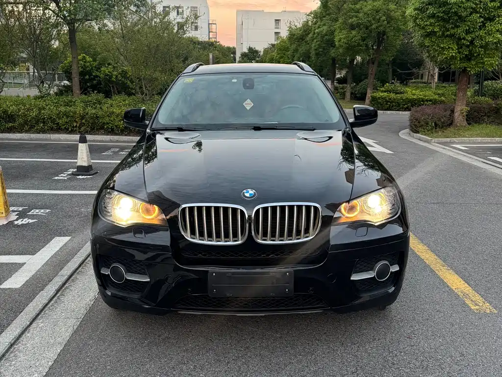 BMW X6 — миниатюра 2