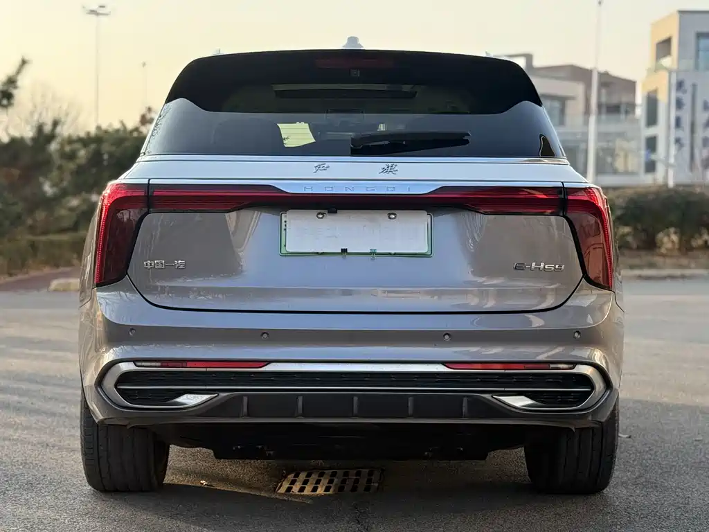 Hongqi HONGQI E HS9