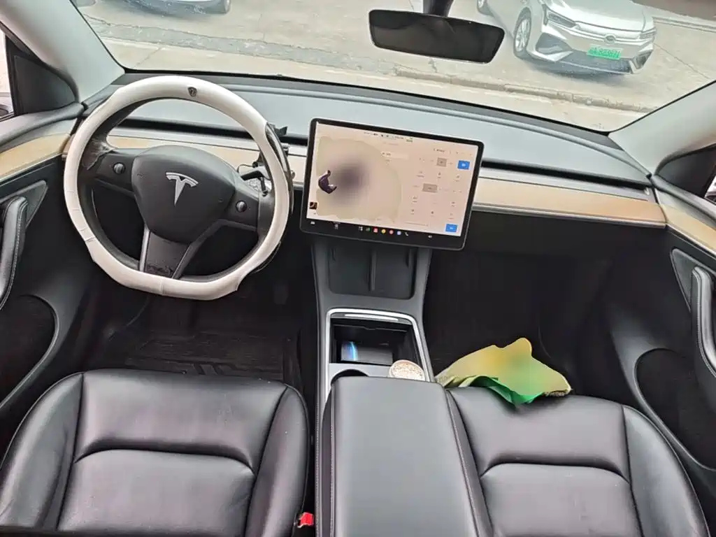 Tesla Model Y — миниатюра 10