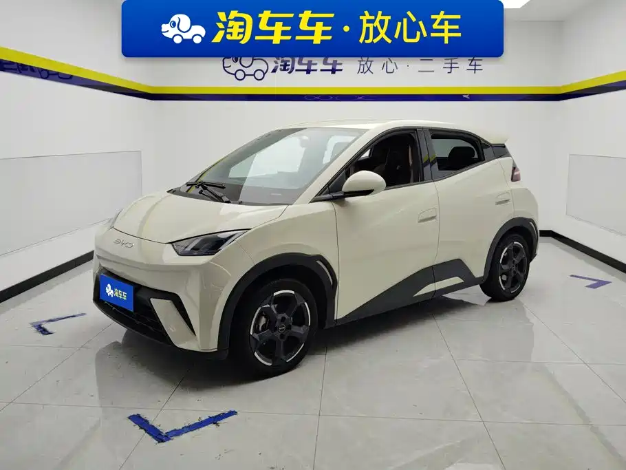 BYD Seagull
