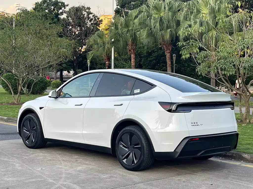 Tesla Model Y — миниатюра 12