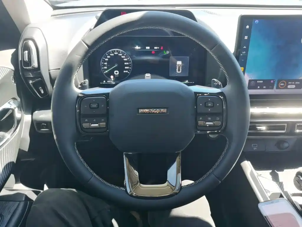 Haval Big Dog PLUS — миниатюра 11