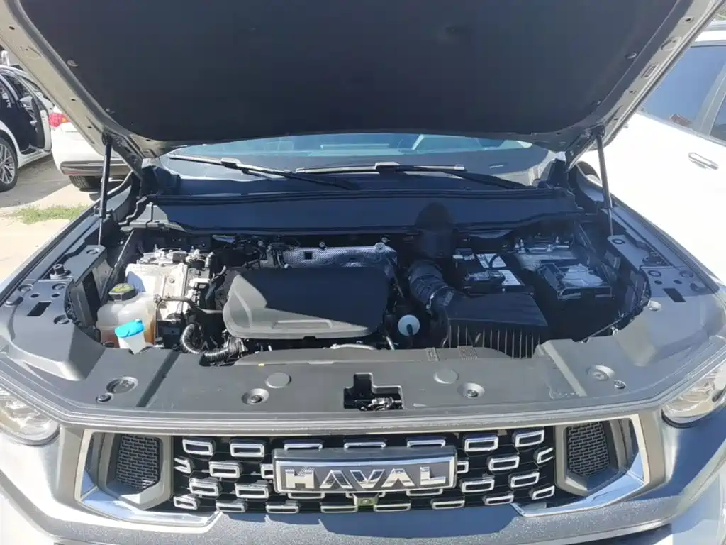 Haval Big Dog PLUS — миниатюра 20