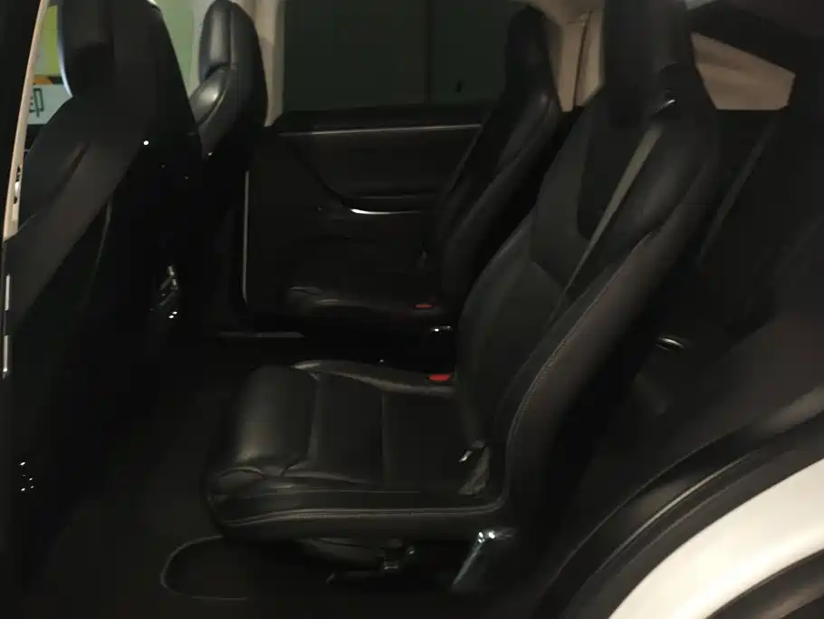 Tesla Model X — миниатюра 11