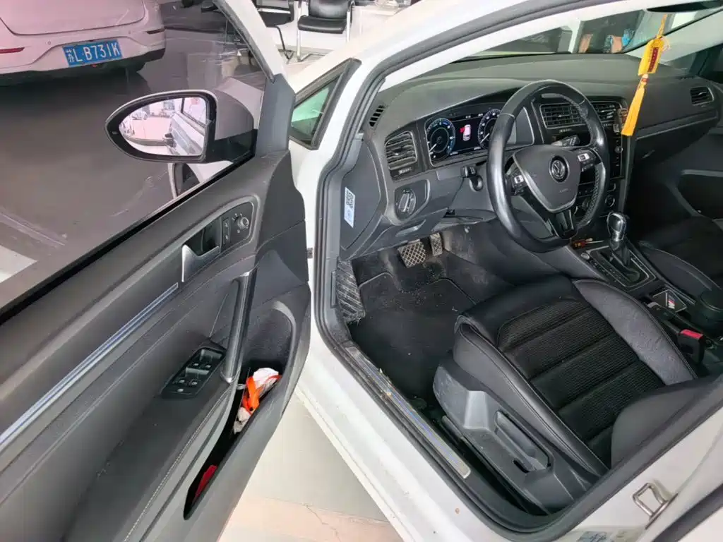 Volkswagen Golf New Energy (Import) — миниатюра 16