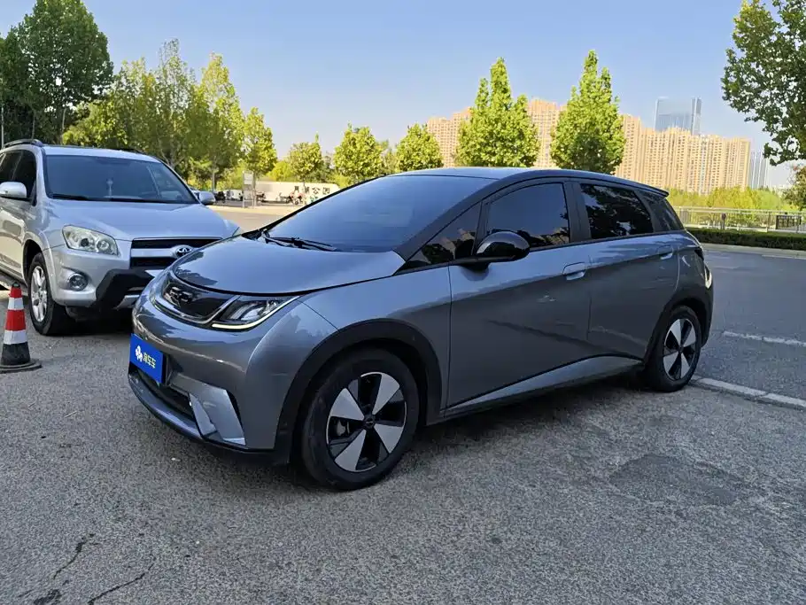 BYD Dolphin
