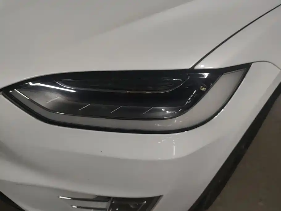 Tesla Model X — миниатюра 5
