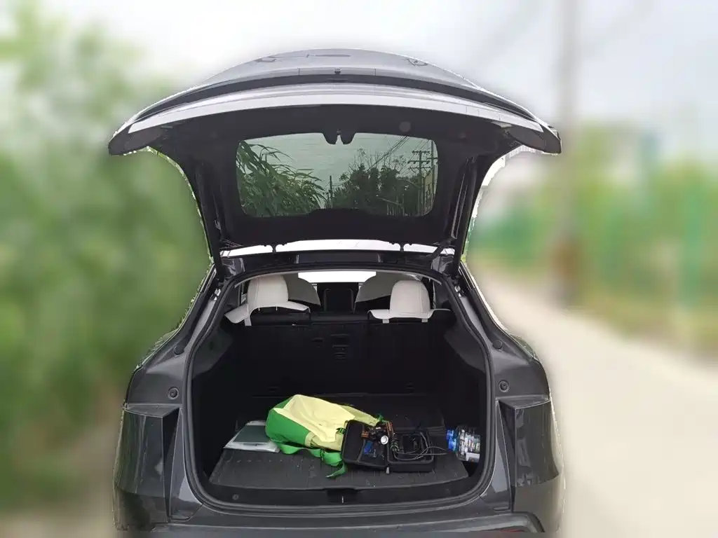 Tesla Model Y — миниатюра 15