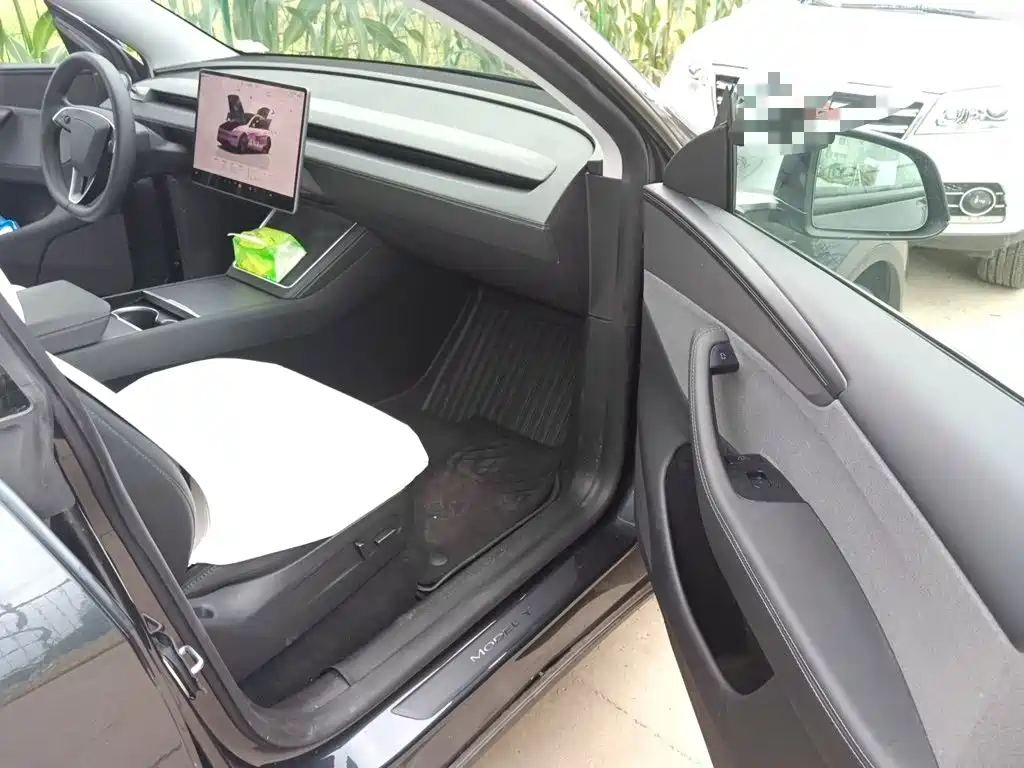 Tesla Model Y — миниатюра 19