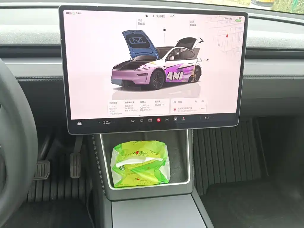 Tesla Model Y — миниатюра 9