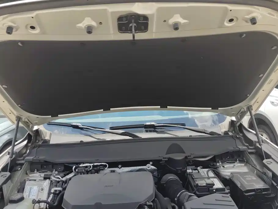 Haval Haval Big Dog PLUS — миниатюра 10