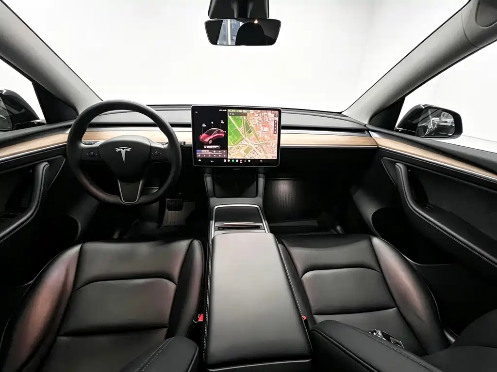 Tesla Model Y — миниатюра 10