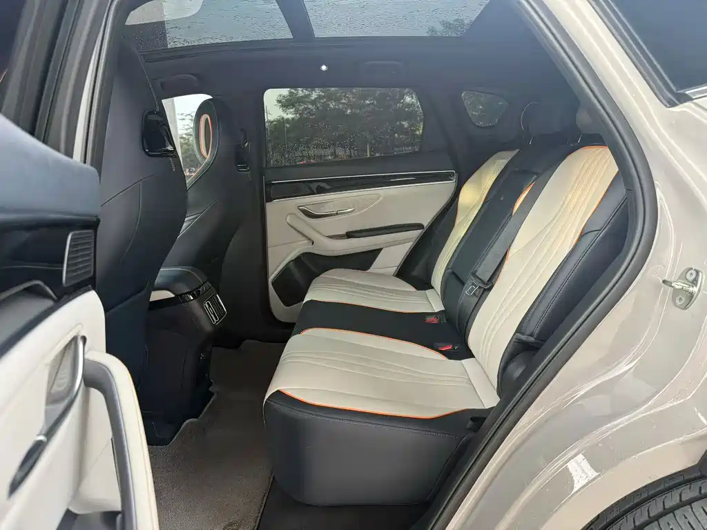 BYD PLUS New Energy — миниатюра 6