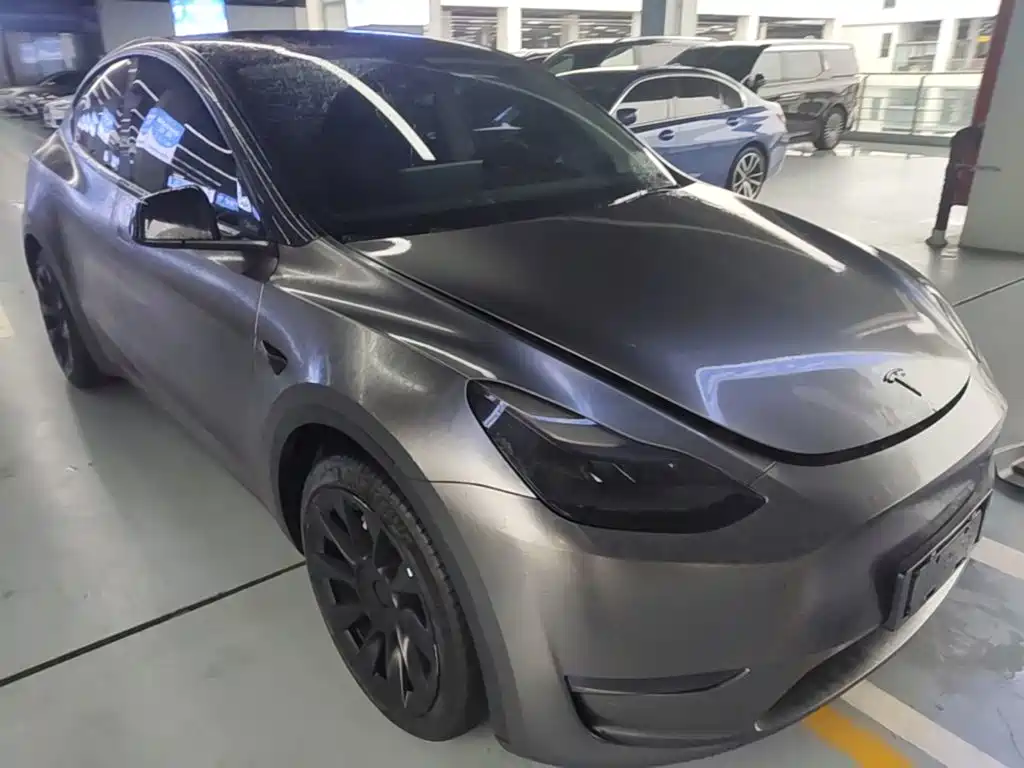Tesla Model Y — миниатюра 4
