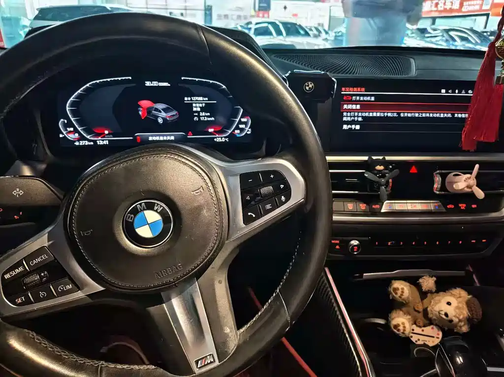 BMW 3 Series — миниатюра 6