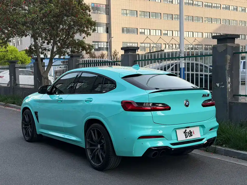 BMW X4 M X4 M Thunder Edition, фото 4