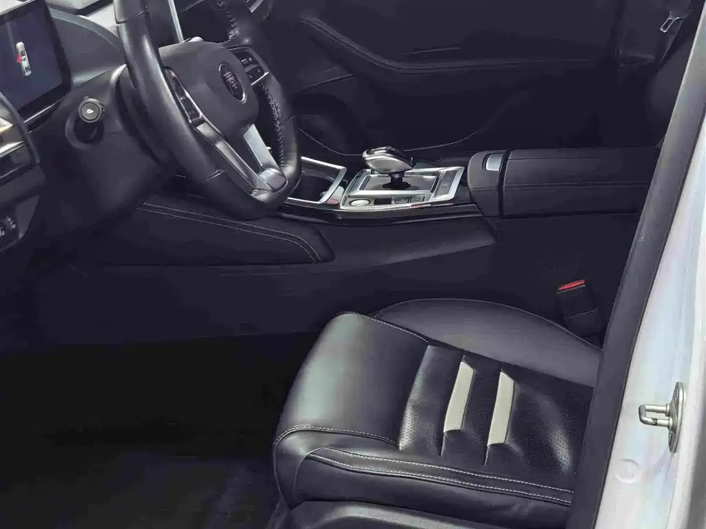 BYD Qin Pro NEV — миниатюра 14
