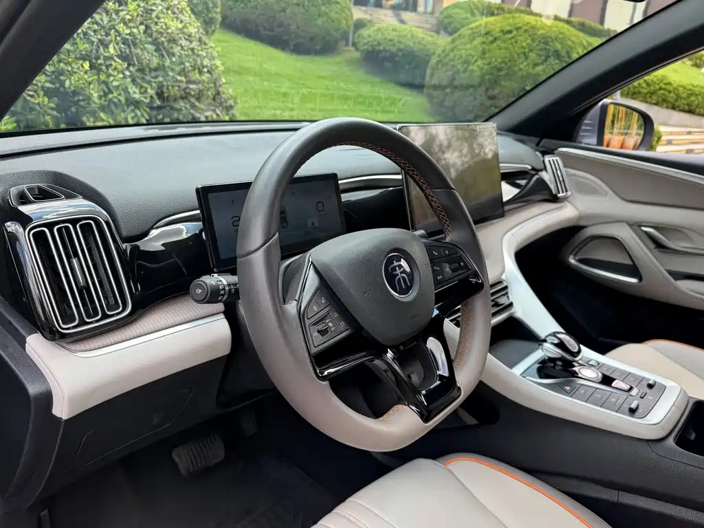 BYD Pro New Energy — миниатюра 13