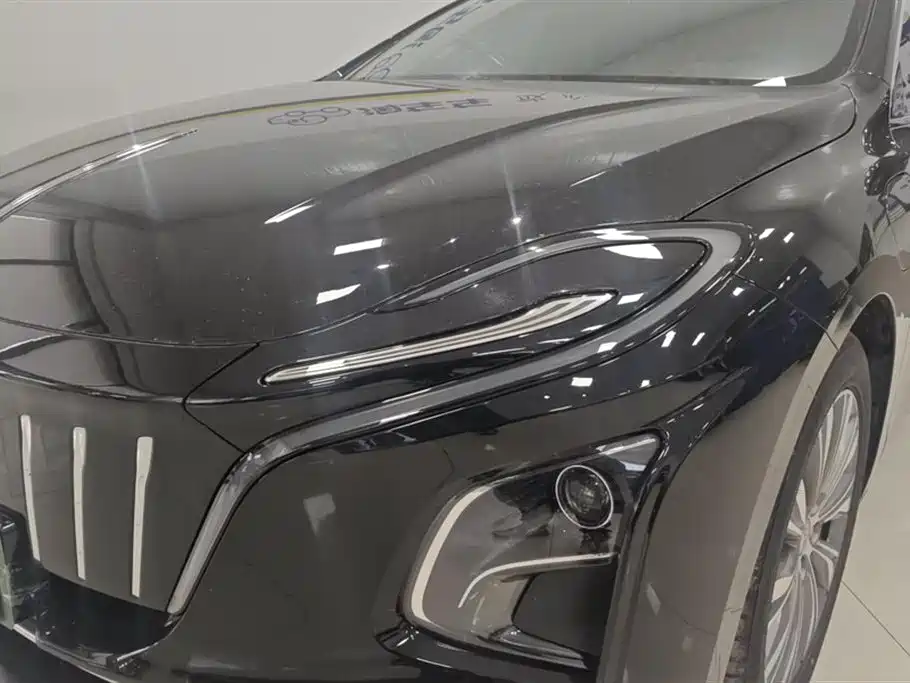Hongqi HONGQI E QM5