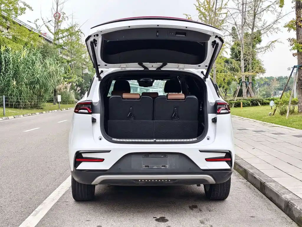 BYD Tang New Energy — миниатюра 8