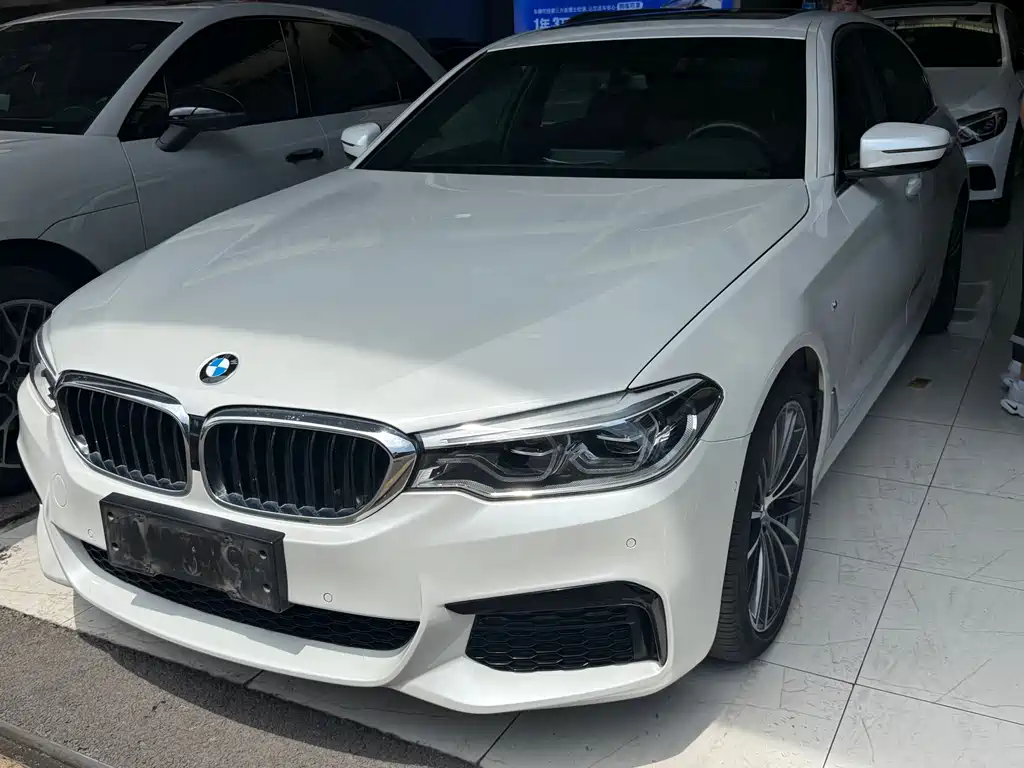 BMW 5 Series 2019 530Li Leading Type M Sport Package
