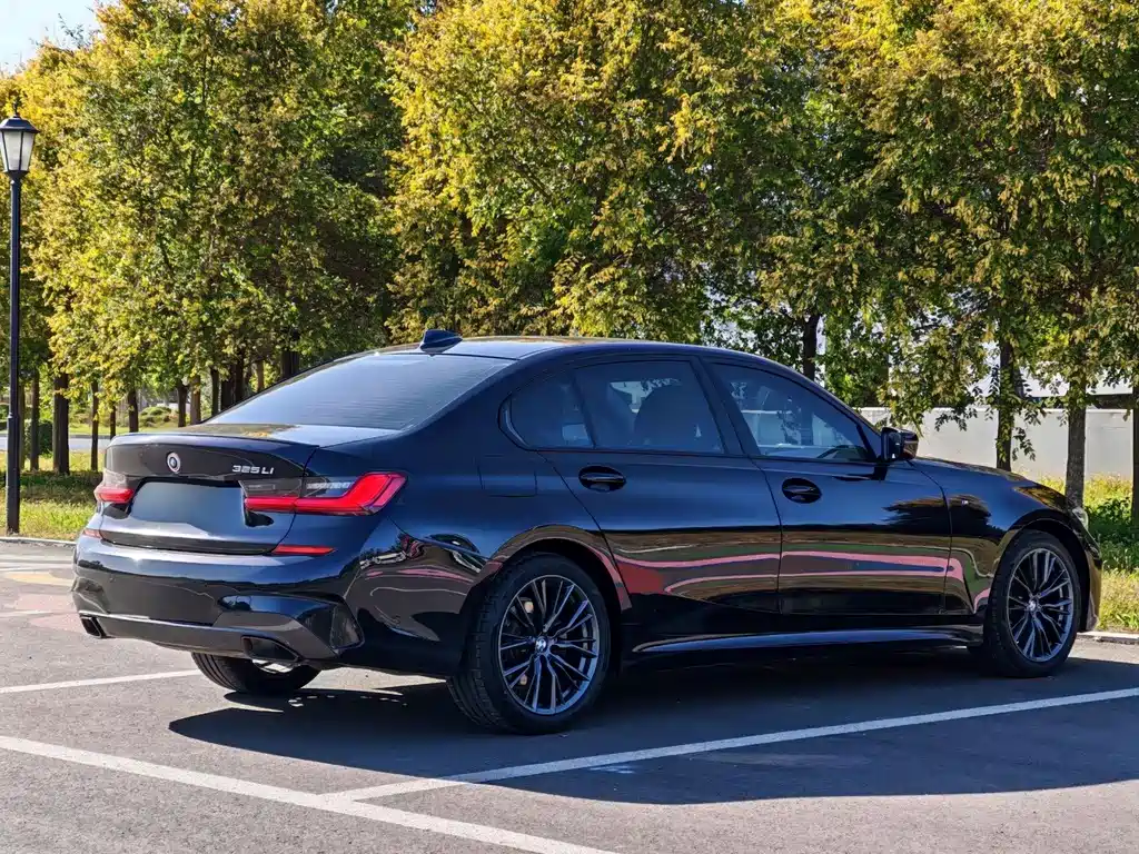 BMW 3 Series — миниатюра 6