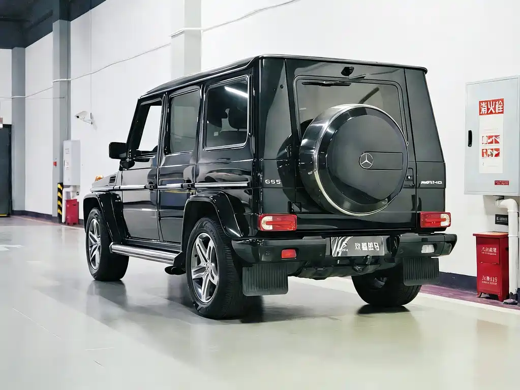 Mercedes-Benz G-Class A MG G AMG 2009 AMG G 55