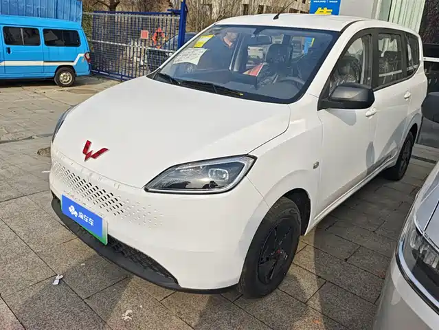 WULING WULING HONGGUANG NEW ENERGY 2025