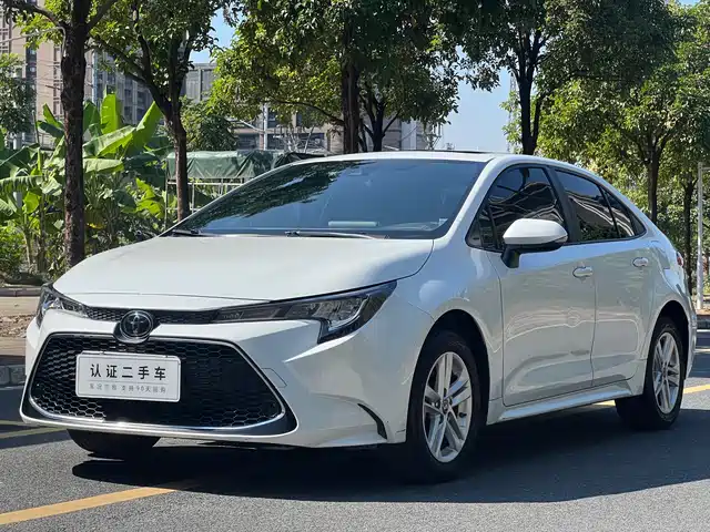 TOYOTA LEI LING 2020