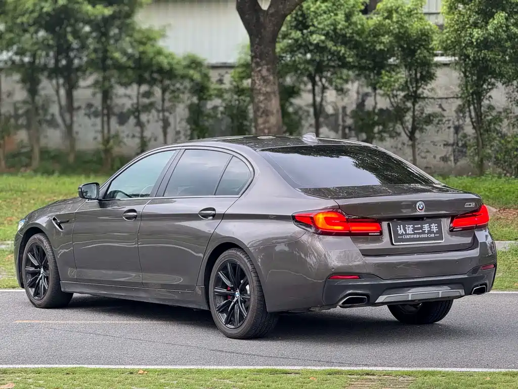 BMW 5 Series 5 2018 528Li
